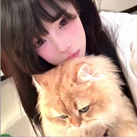 午餐就吃折耳根