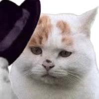 想要继承火之意志