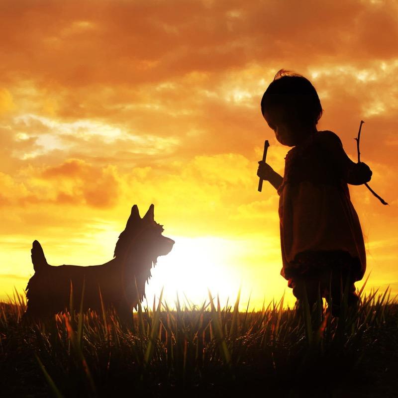 小枫（王者荣耀）