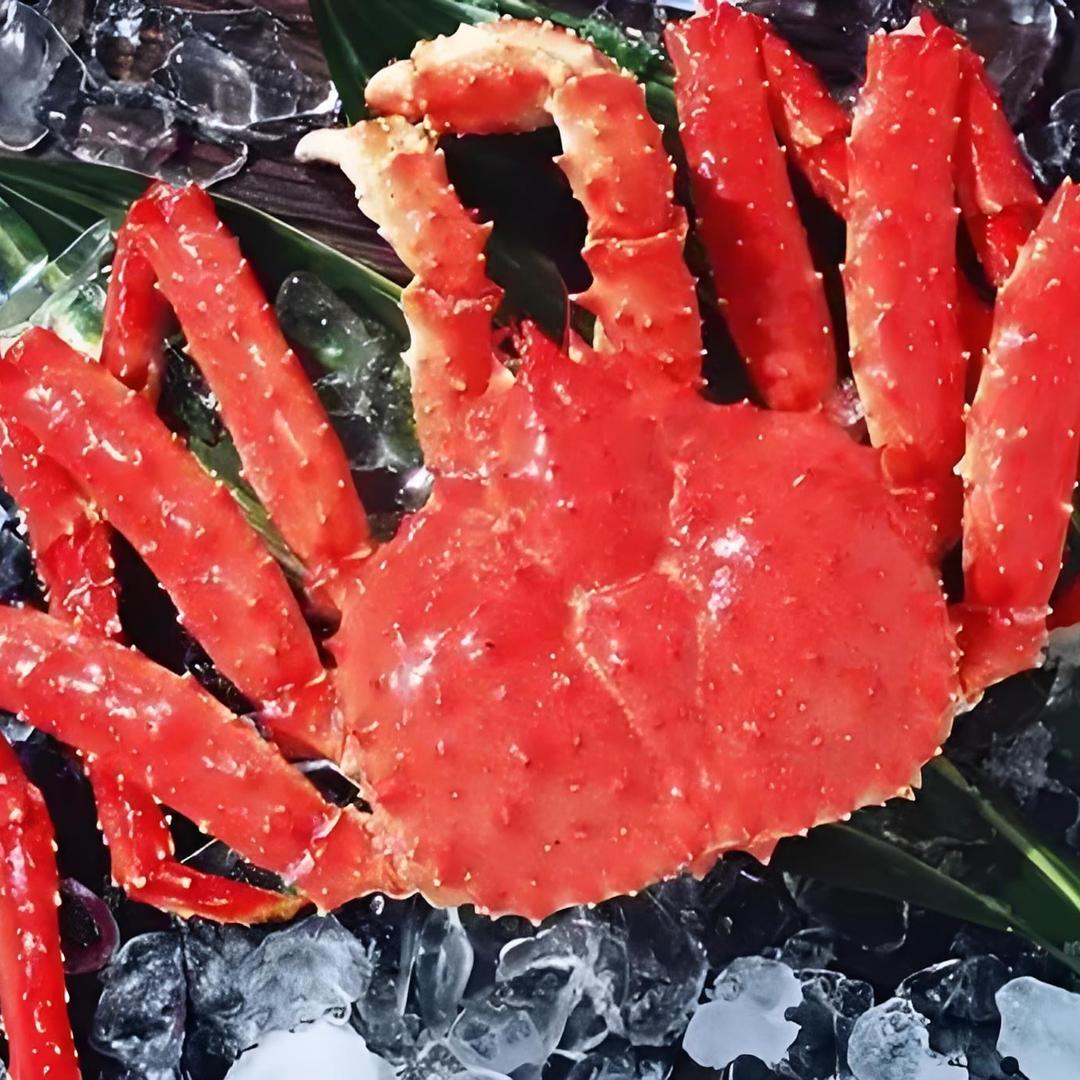 鸿洋海甄