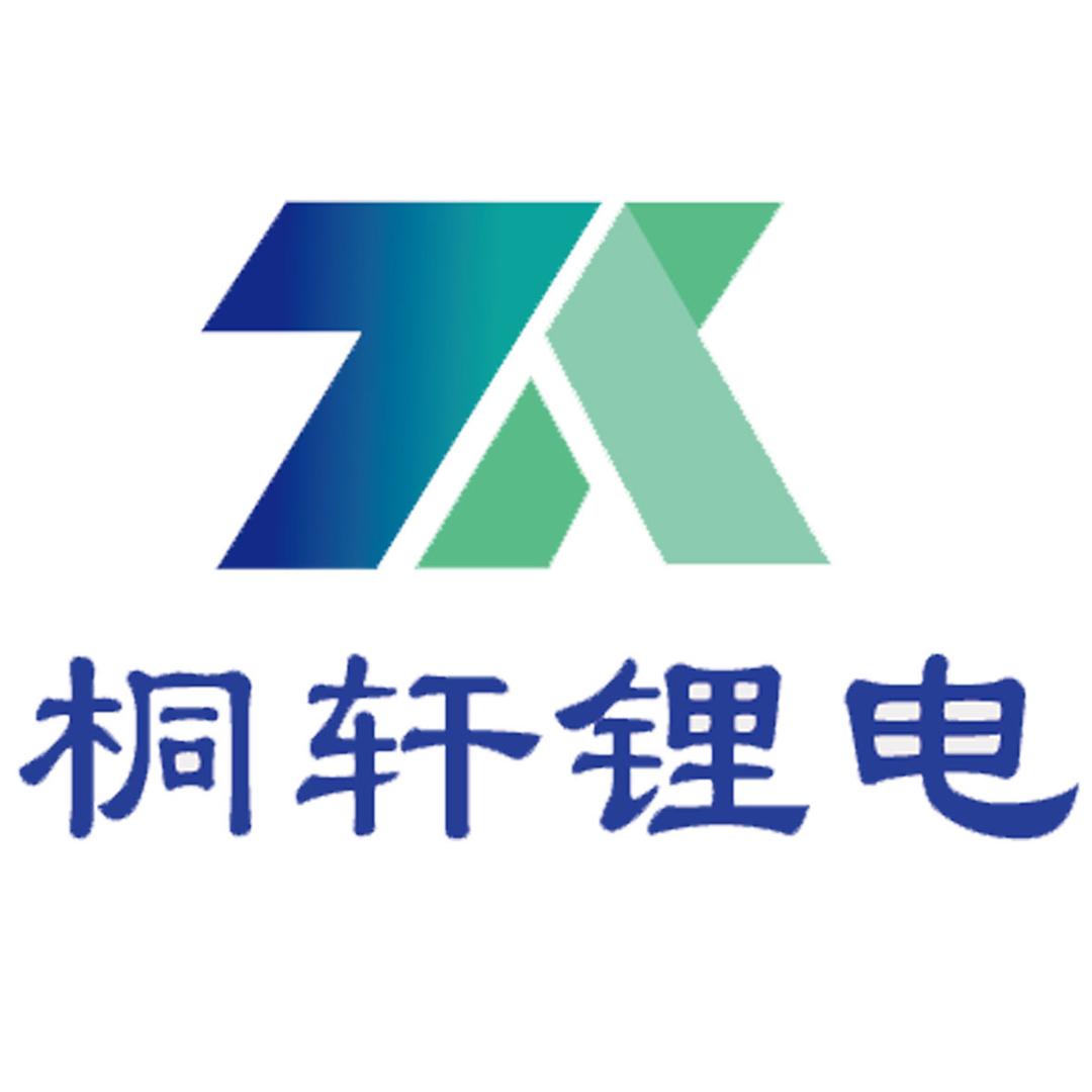 桐轩锂电官方店