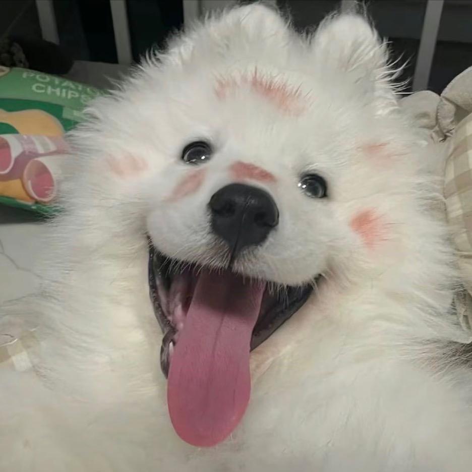 下海捕鱼的男人