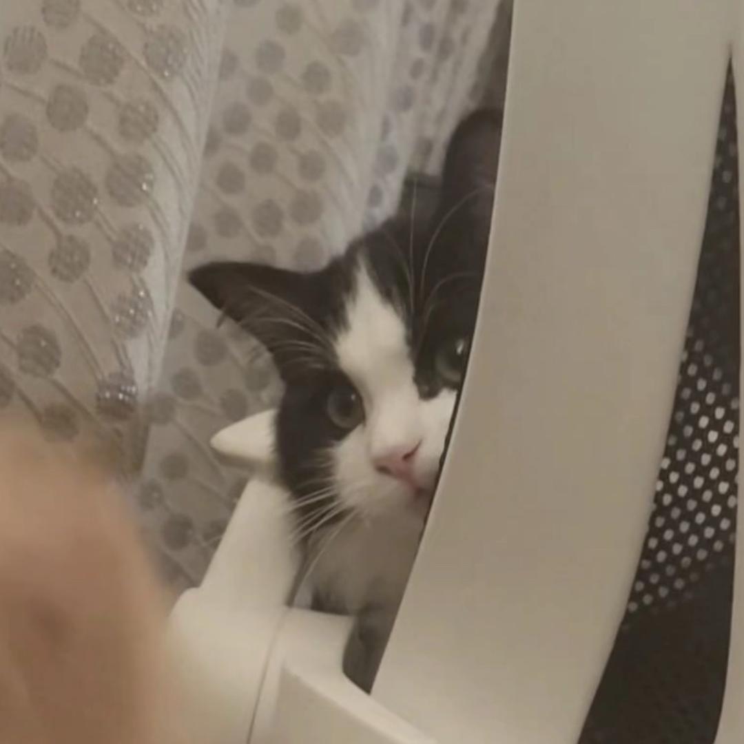 欲