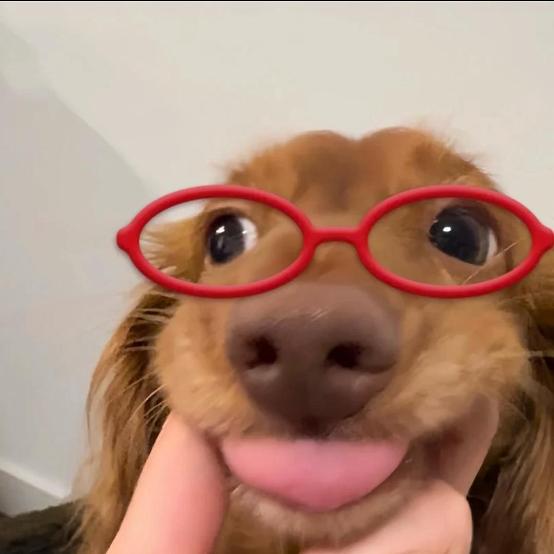 狗卷大王