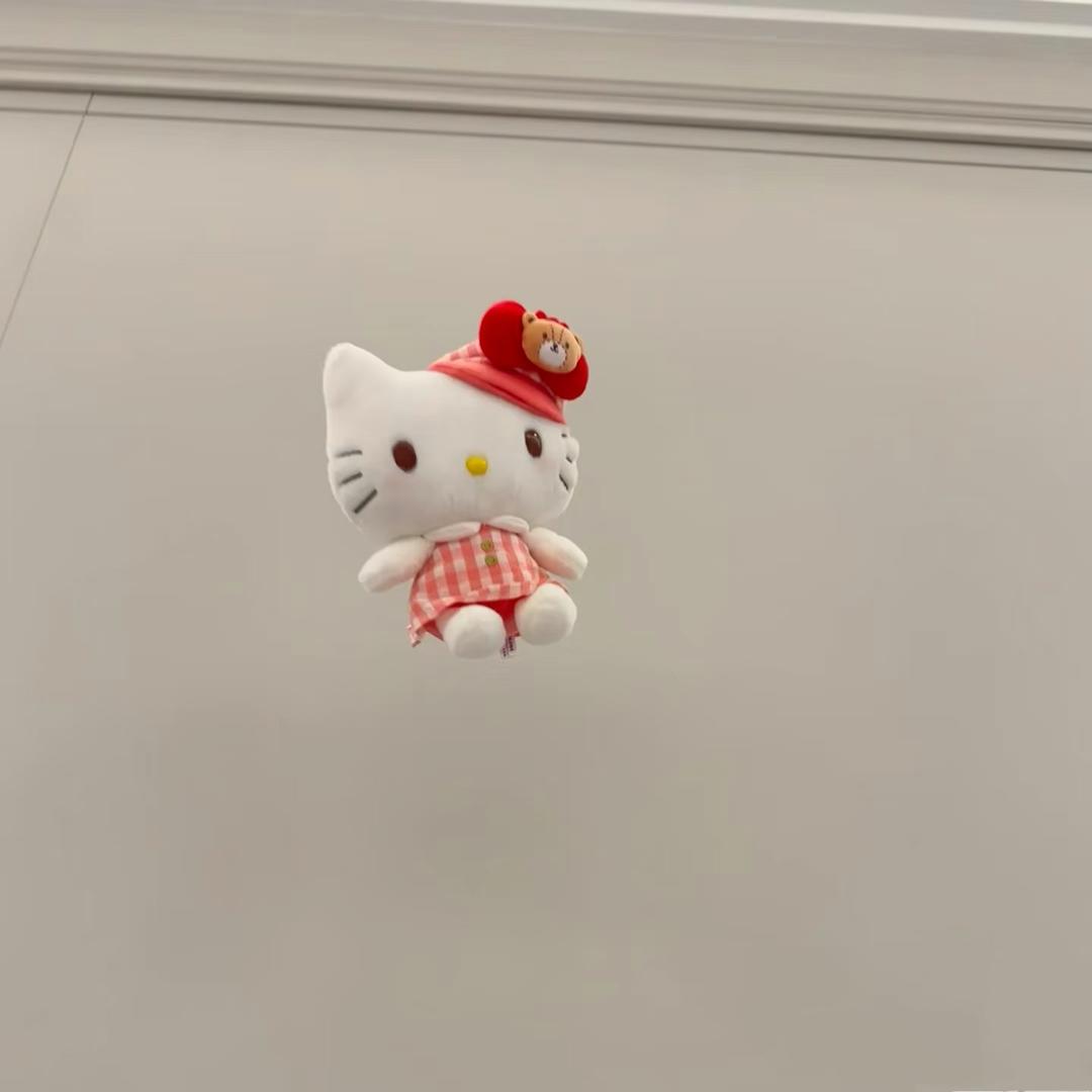 🐈
