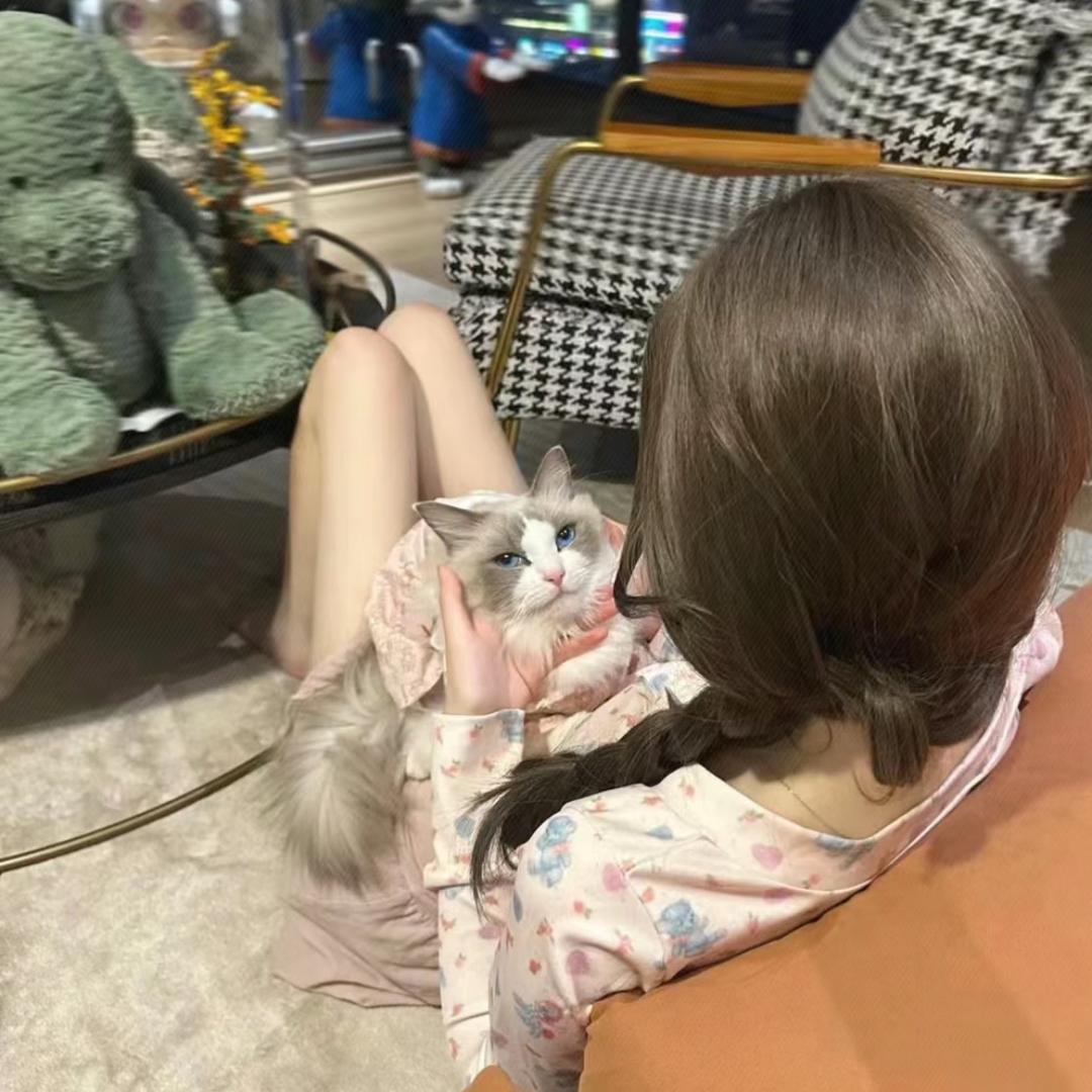 小乖ᰔ ᩚ