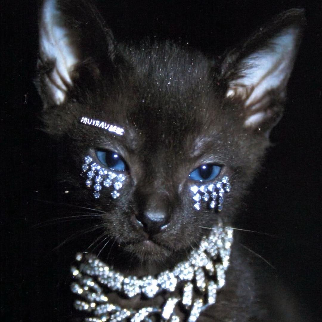 死人小眼死金鱼