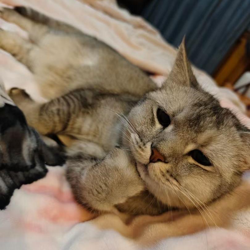 鑫鑫瑜伽健身服