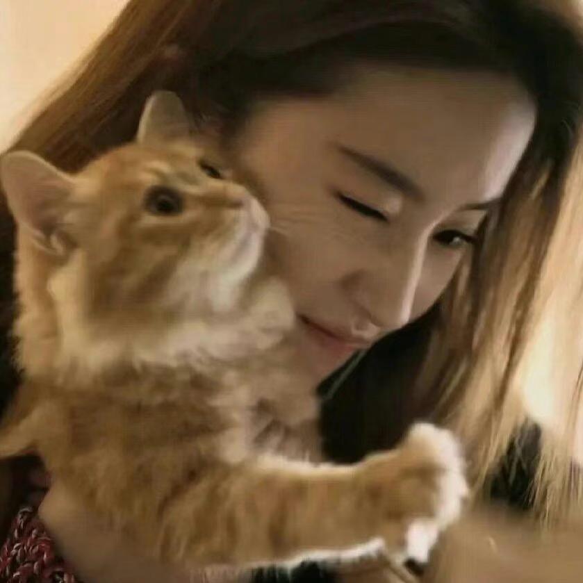佳美