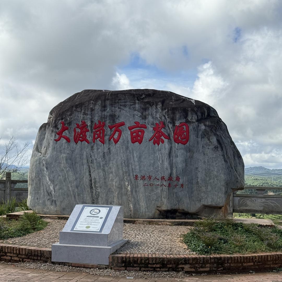 老农垦茶叶