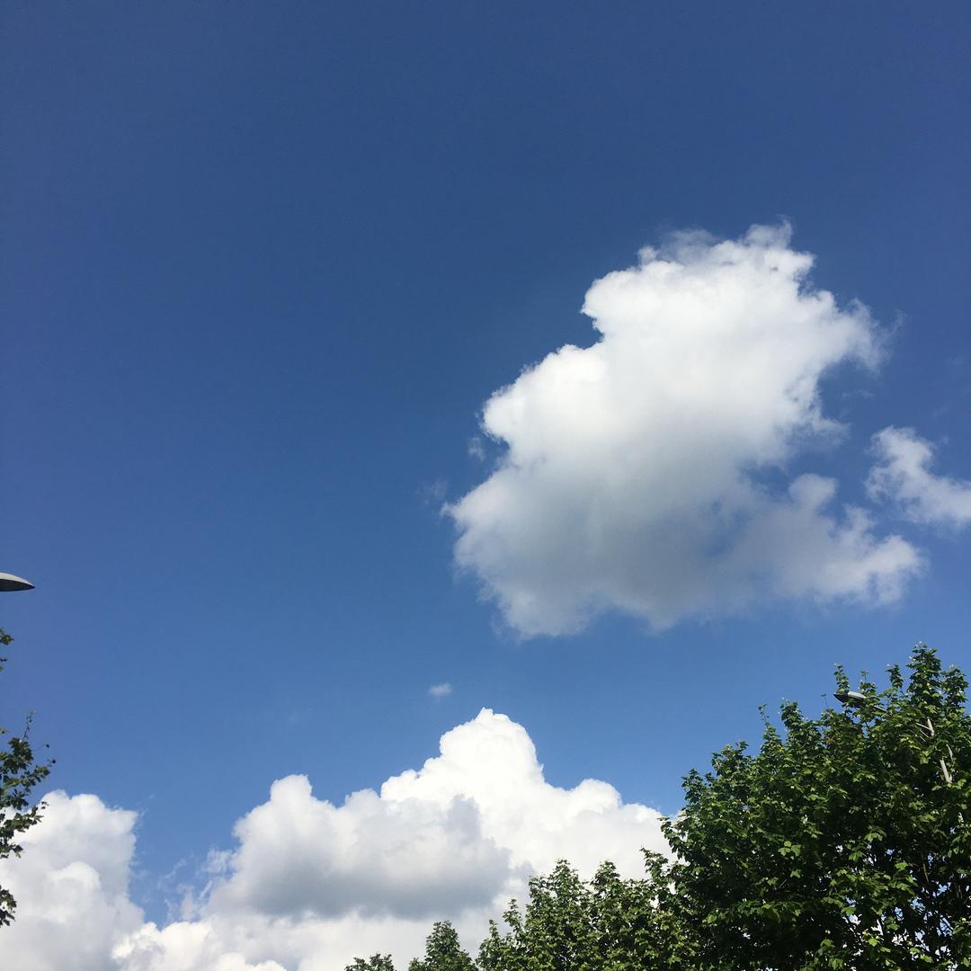 小时了了