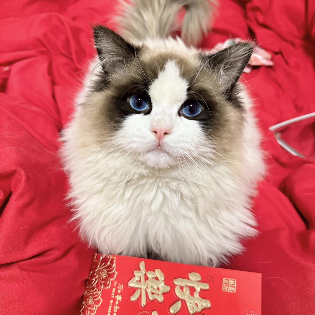蜜桃