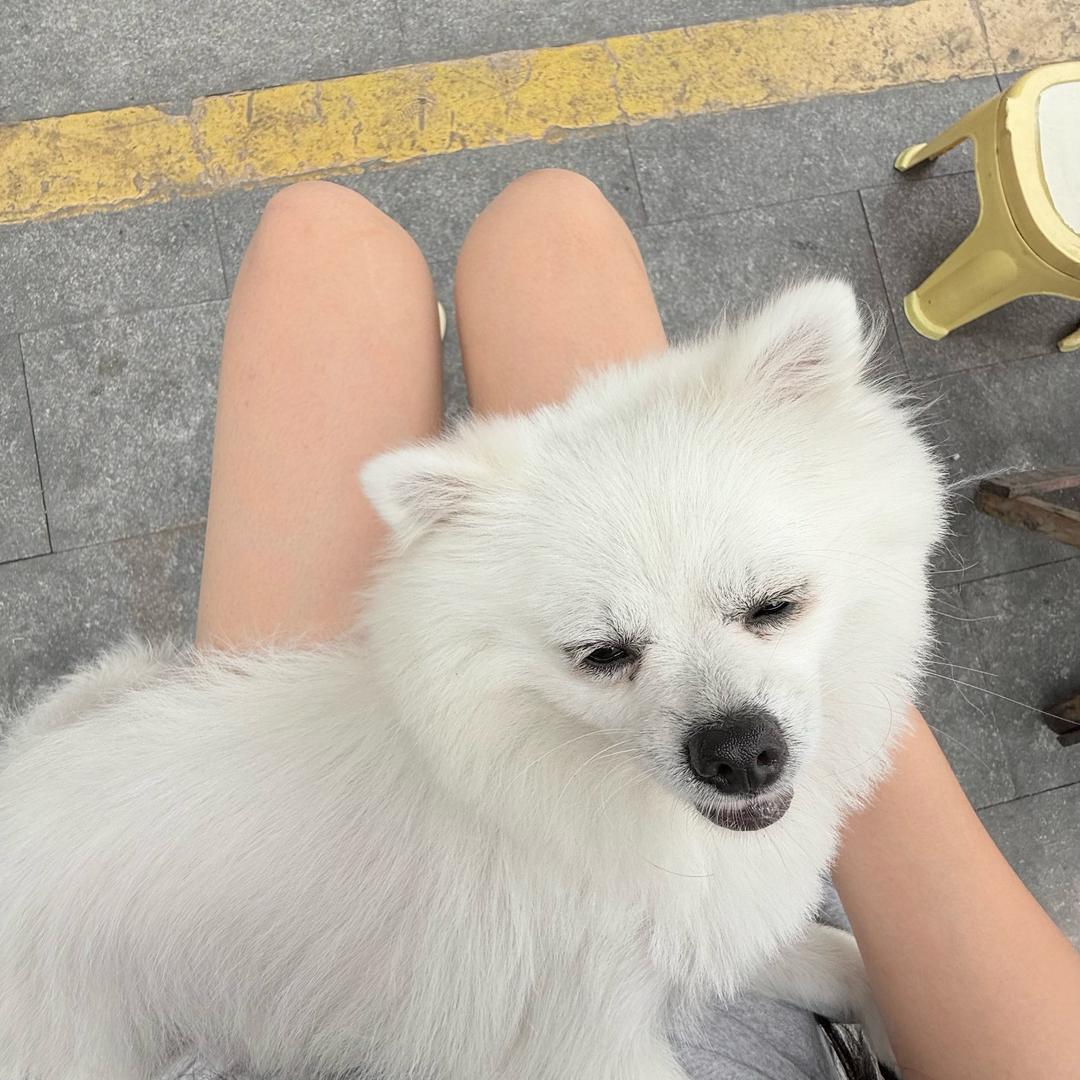 小雨🌧️