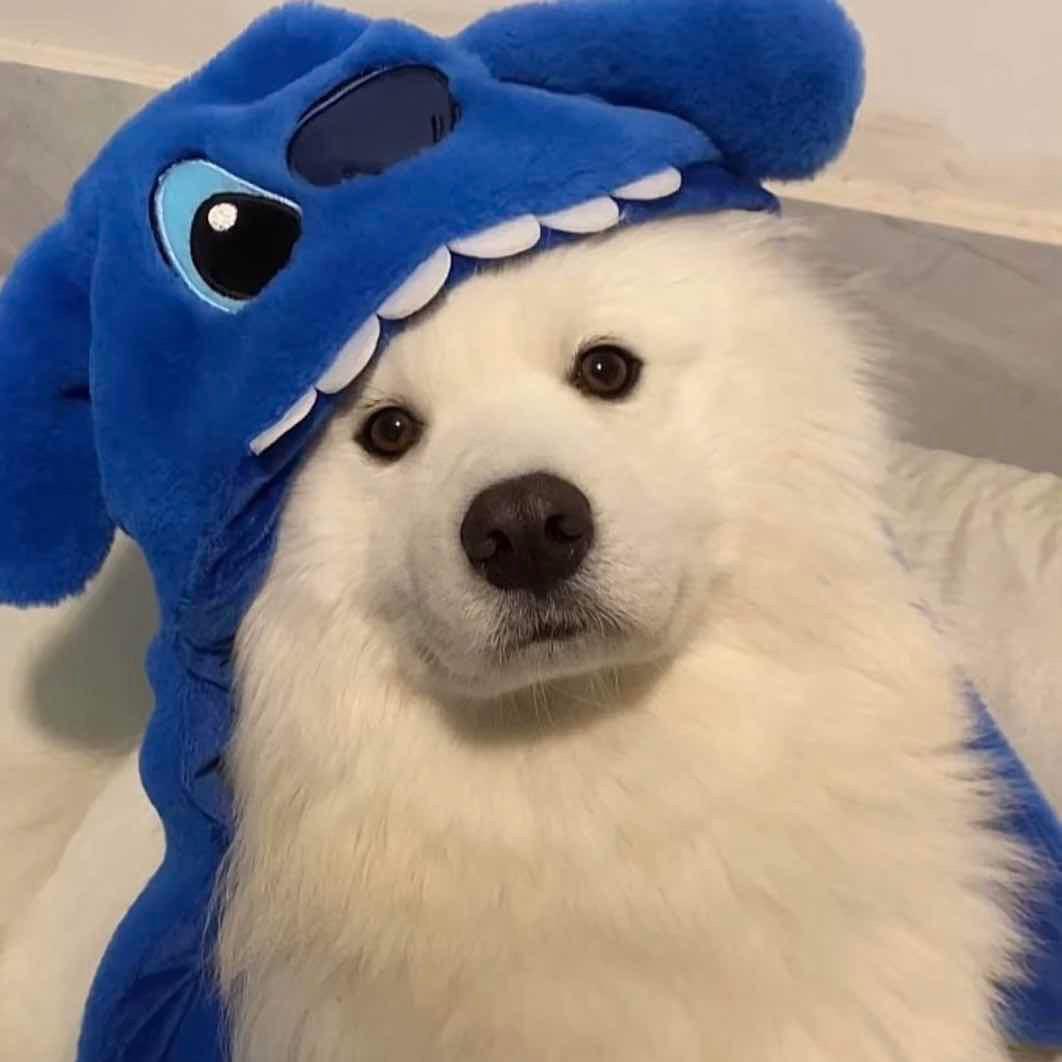AAA黄大爷