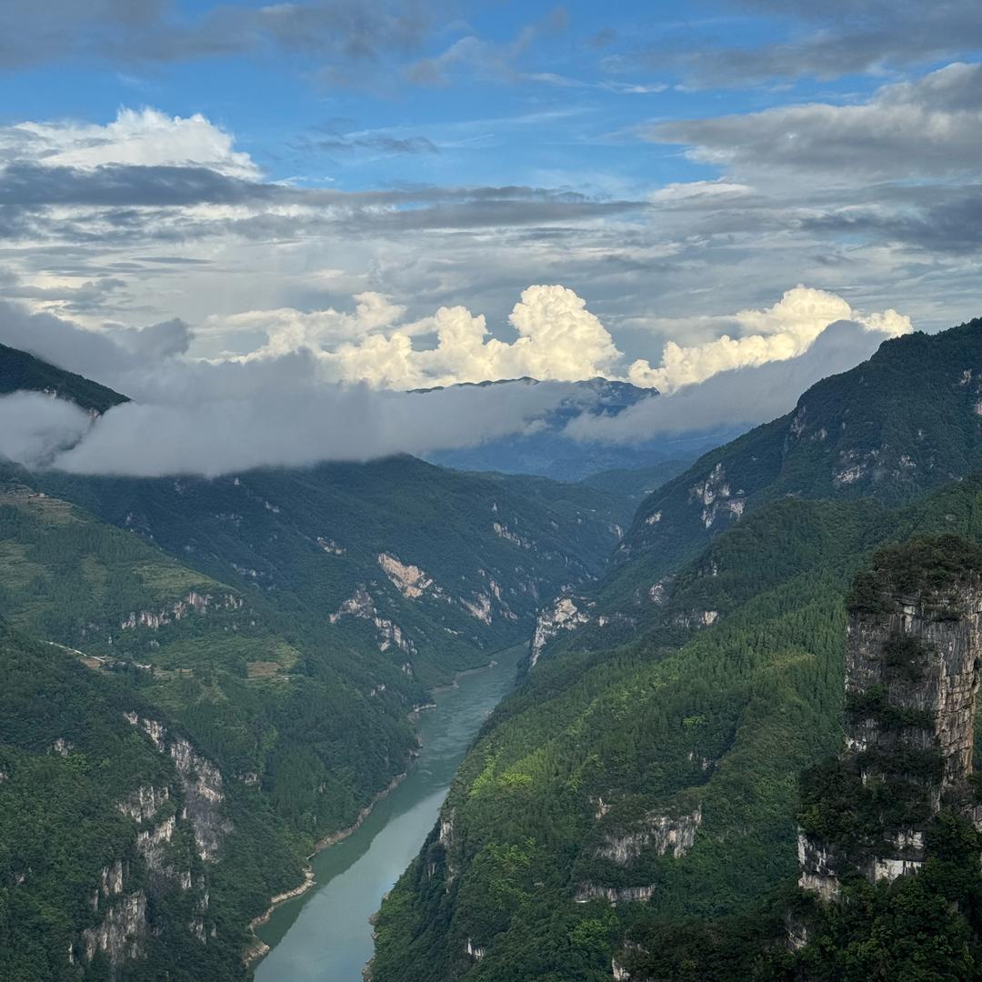 🍄🍄🎋🎋🌾🌾