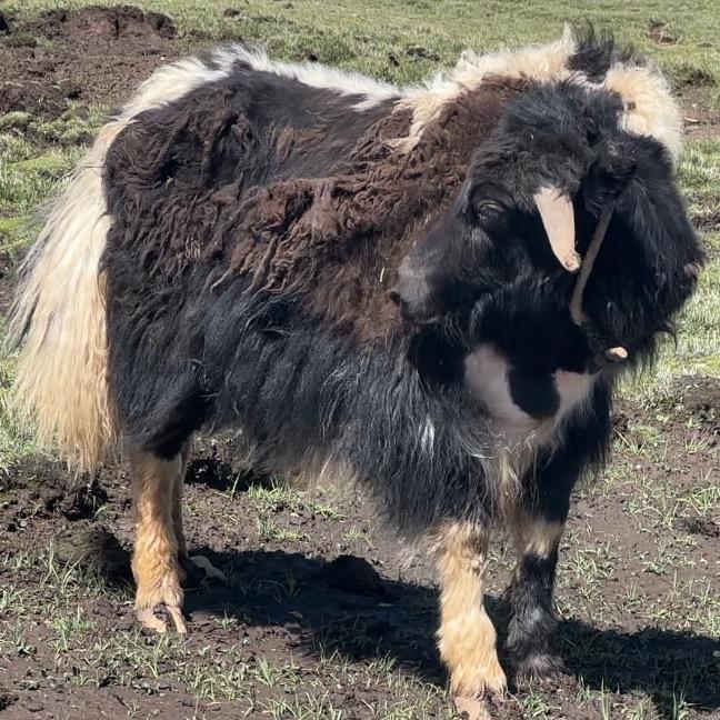 1376