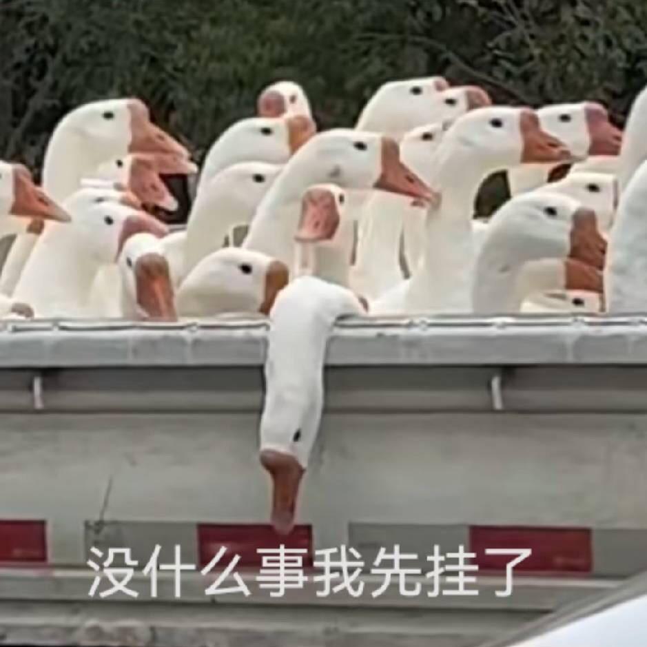 止头像