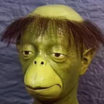 没烫过头发