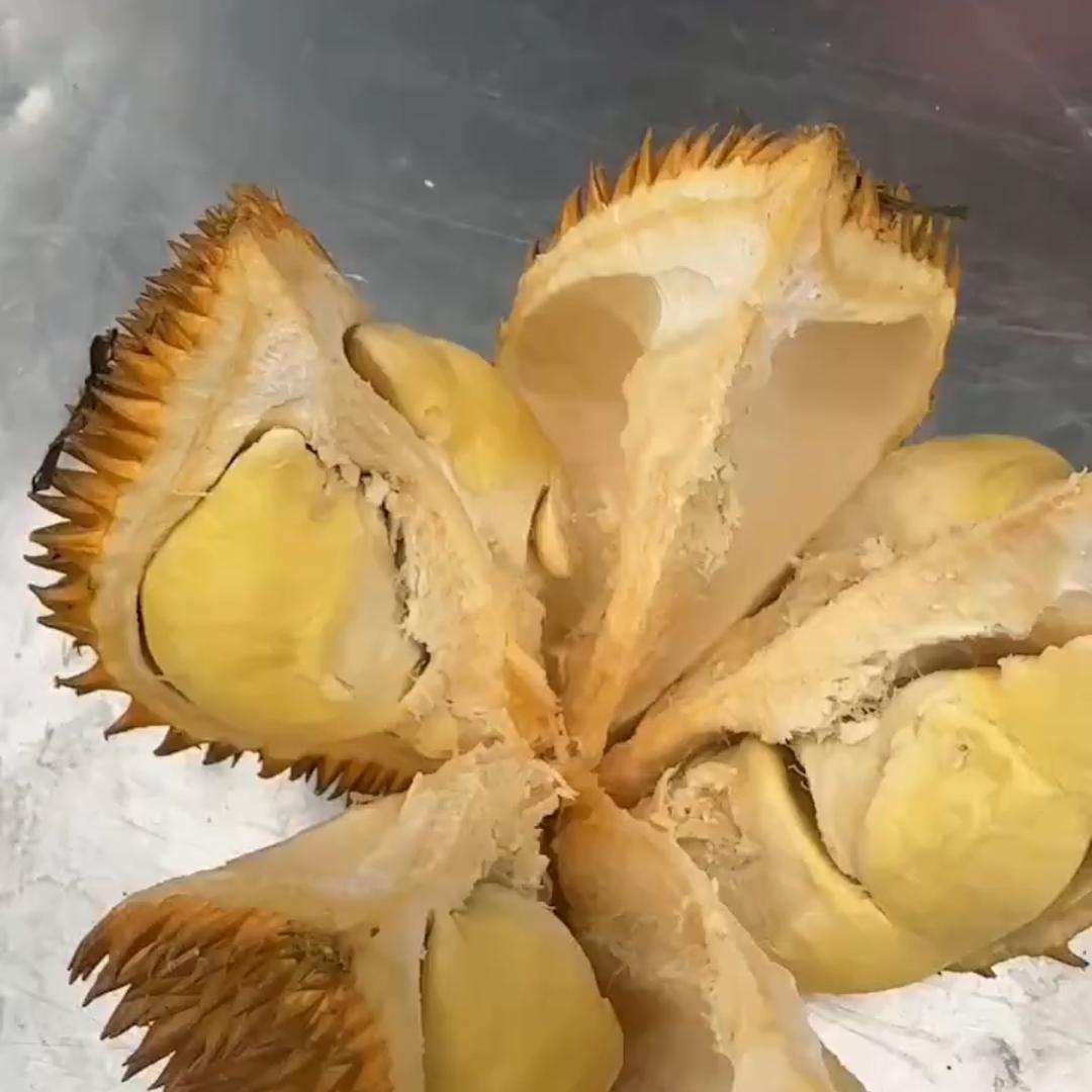 南北果业