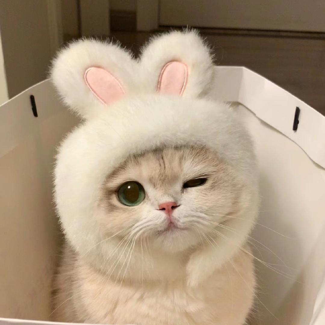 557
