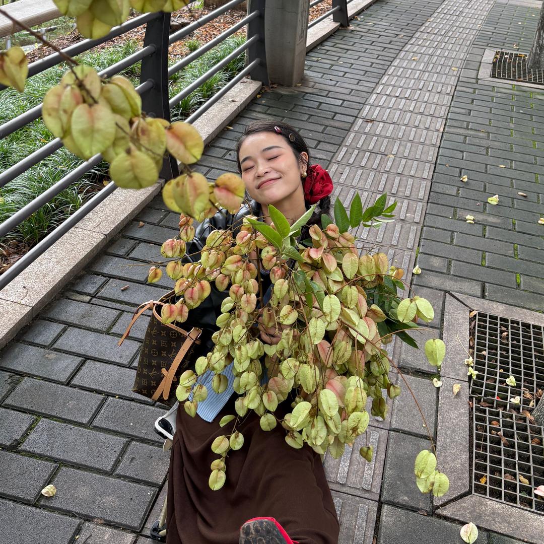 乐悠悠