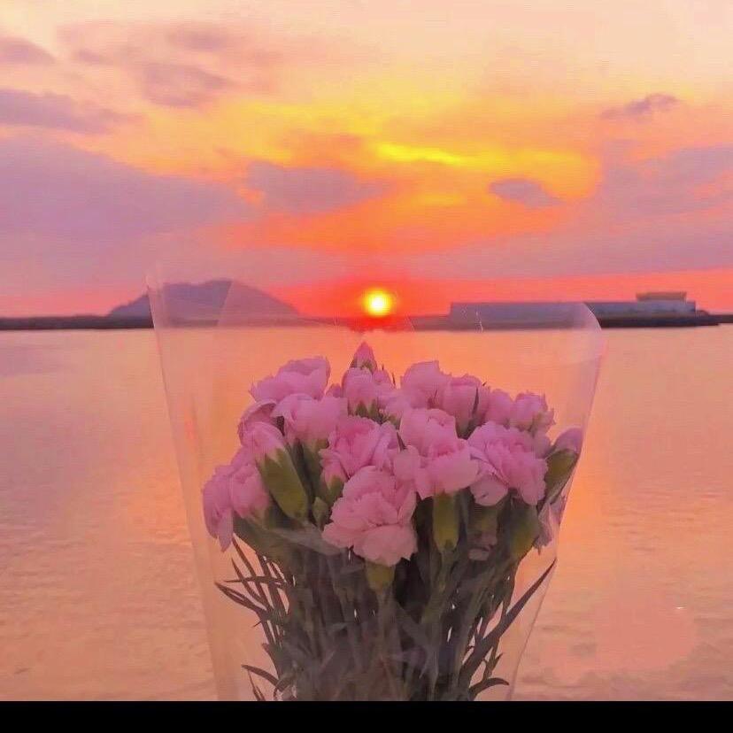 文文🌺🌸🌺🌸🌺🌸