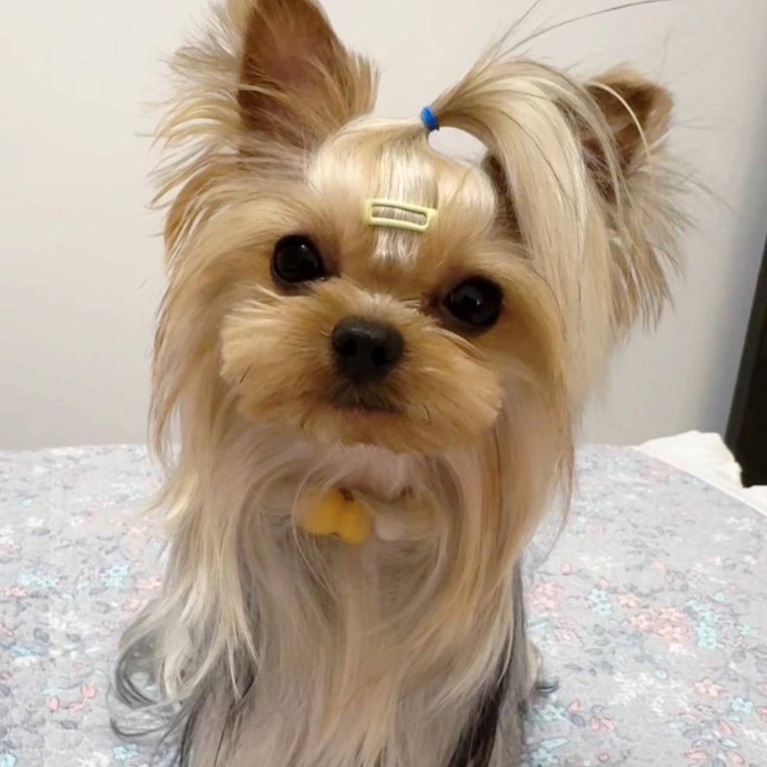小约～多多