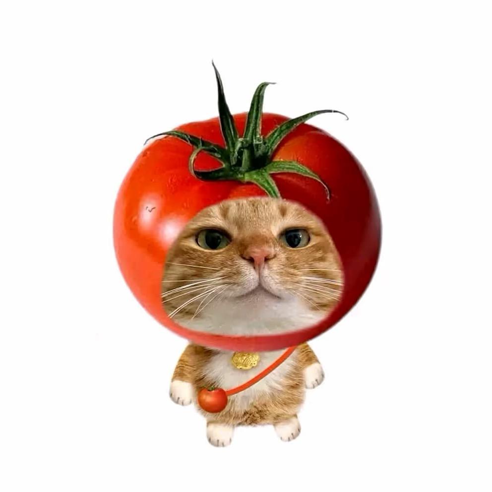 西红柿拐老奶去蹭WiFi