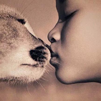 忧郁丁少🥰