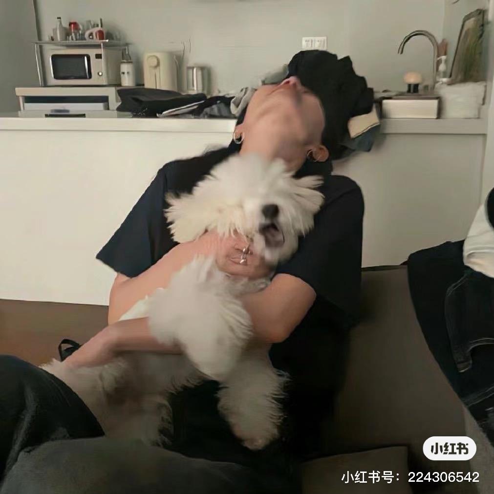 🥯小丸纸