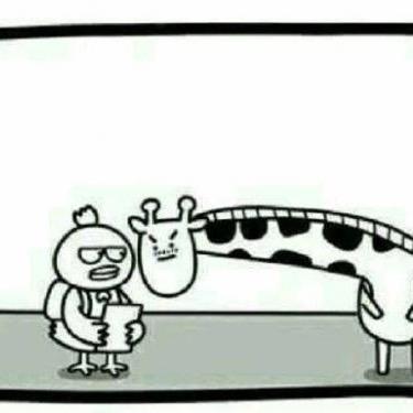 年年有鱼🐠🐠