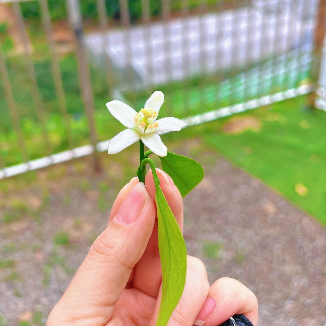 新想事陈