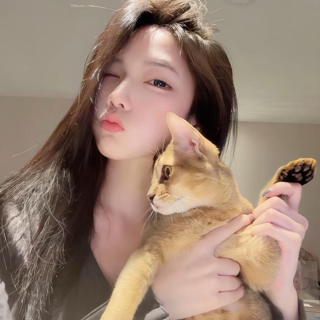 ⁥⁥ㅤ-Ziqing