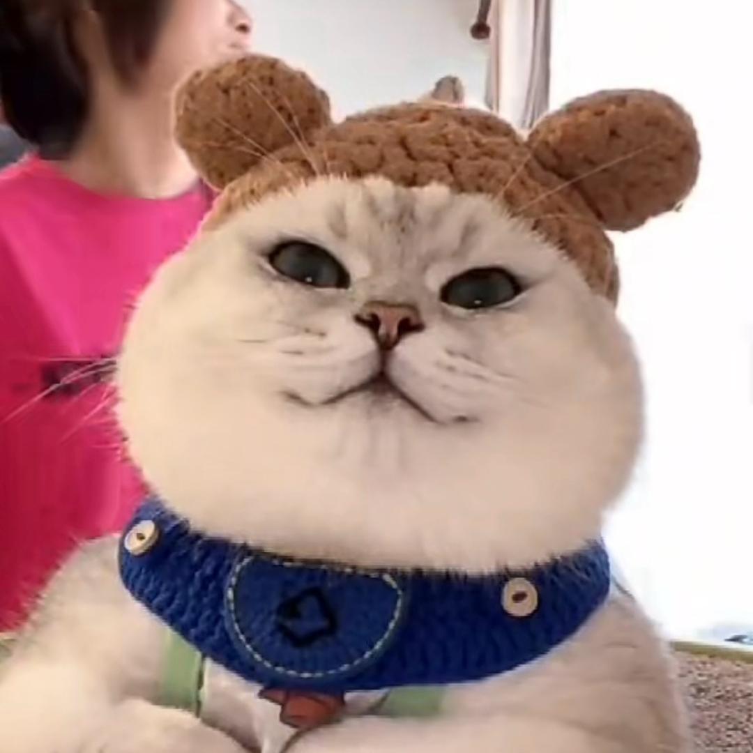 呼呼