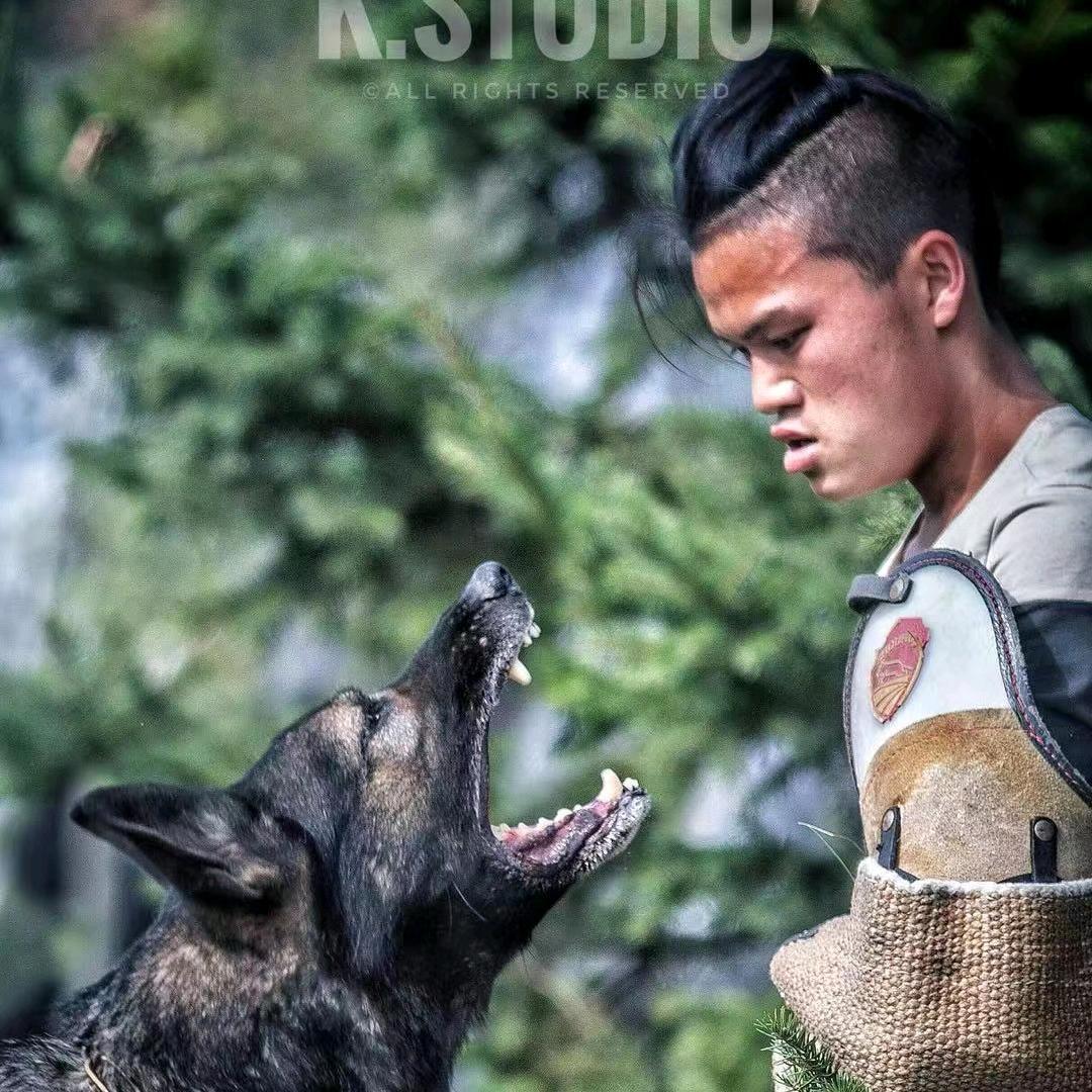 临沂K9工作犬(回收犬只)