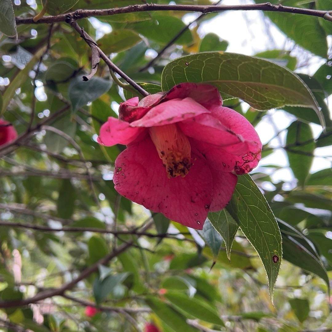 热爱生活的爷爷