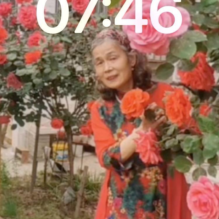 张俊英
