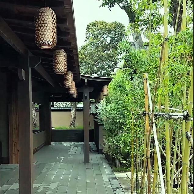 Lemon🍋柠檬