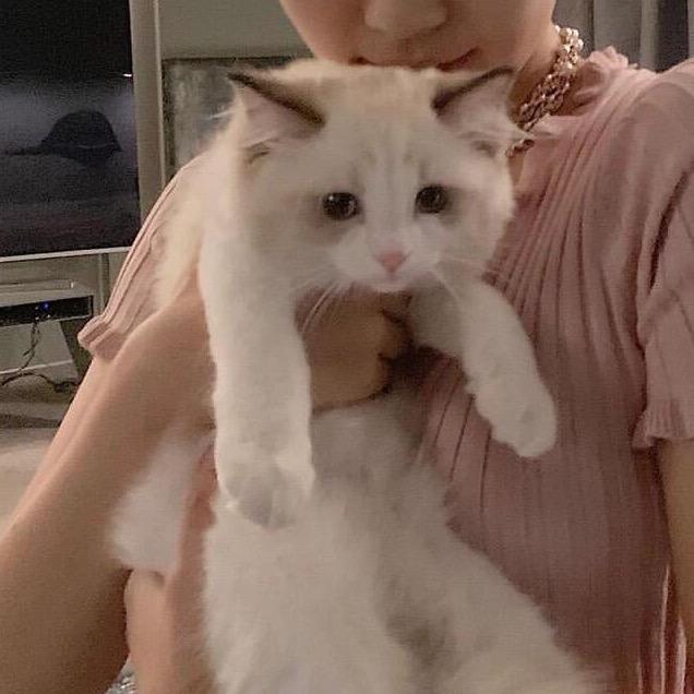 点点点点