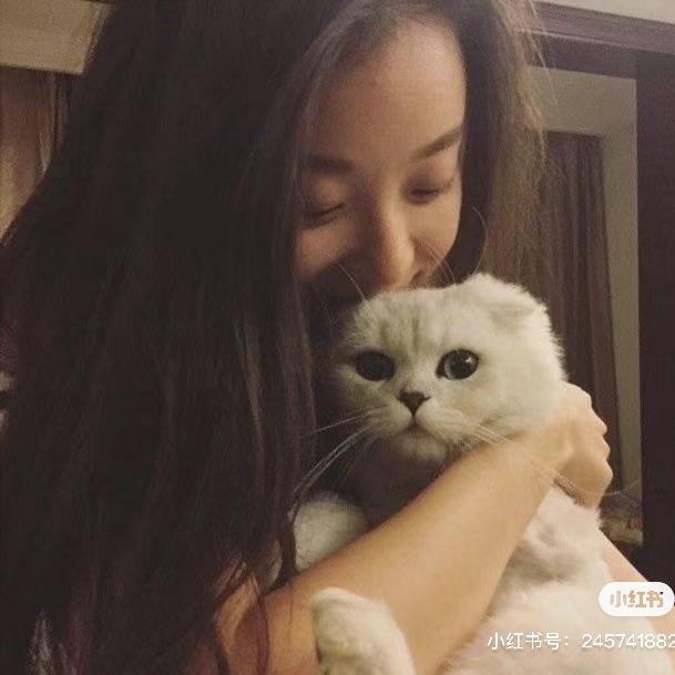 下次见.