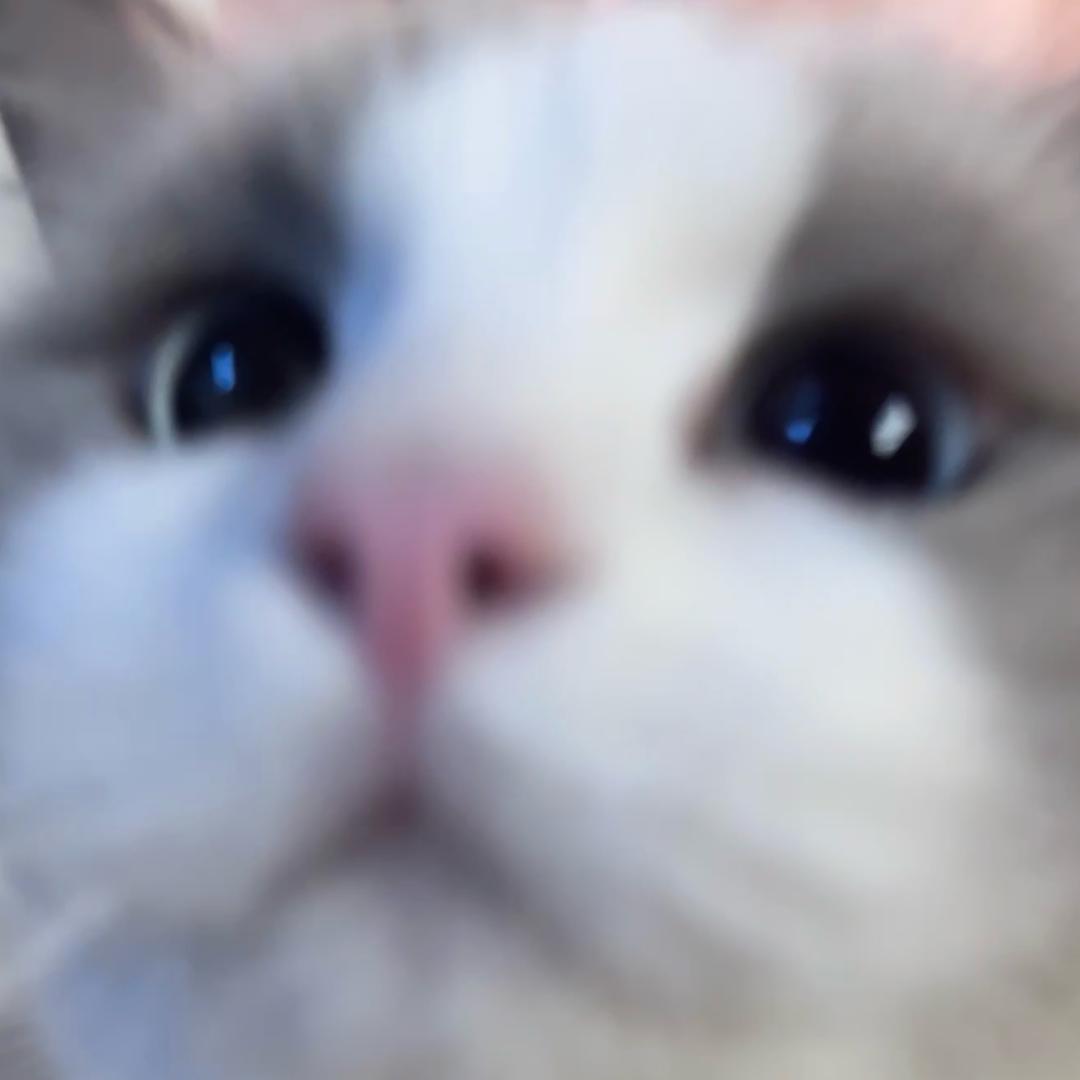 姜禾