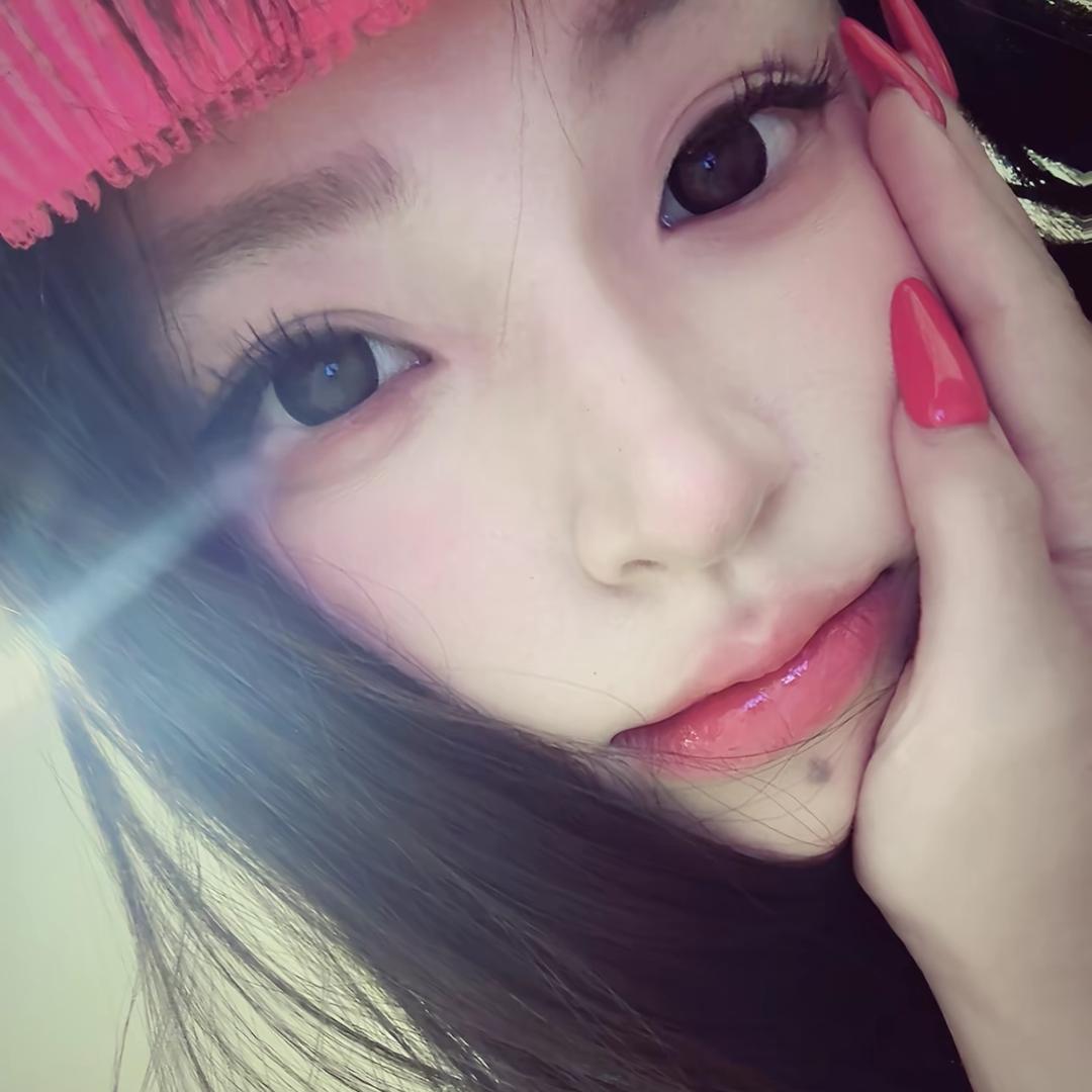 这只猫