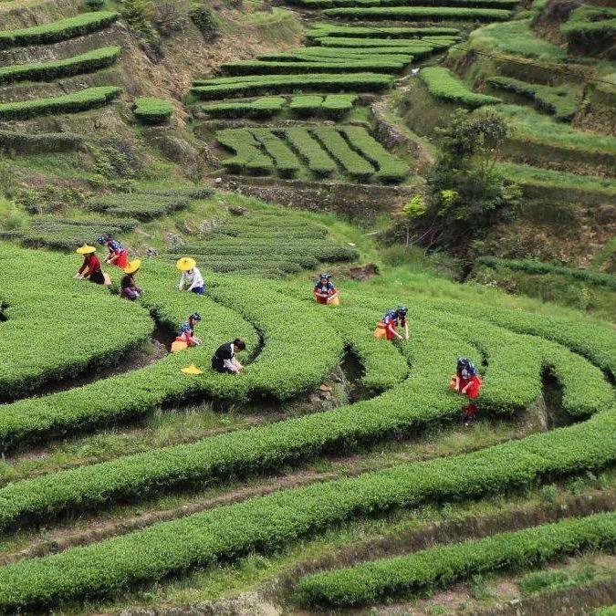 蜂蜜源头工厂店
