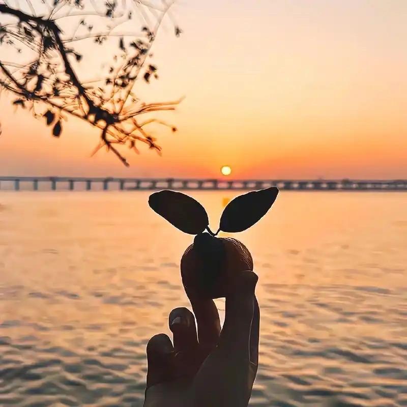 🦋C～