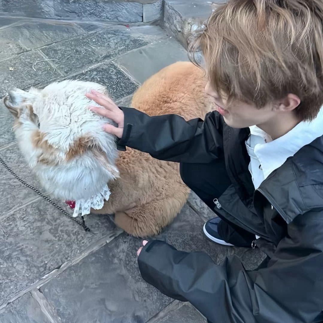 李知恩.