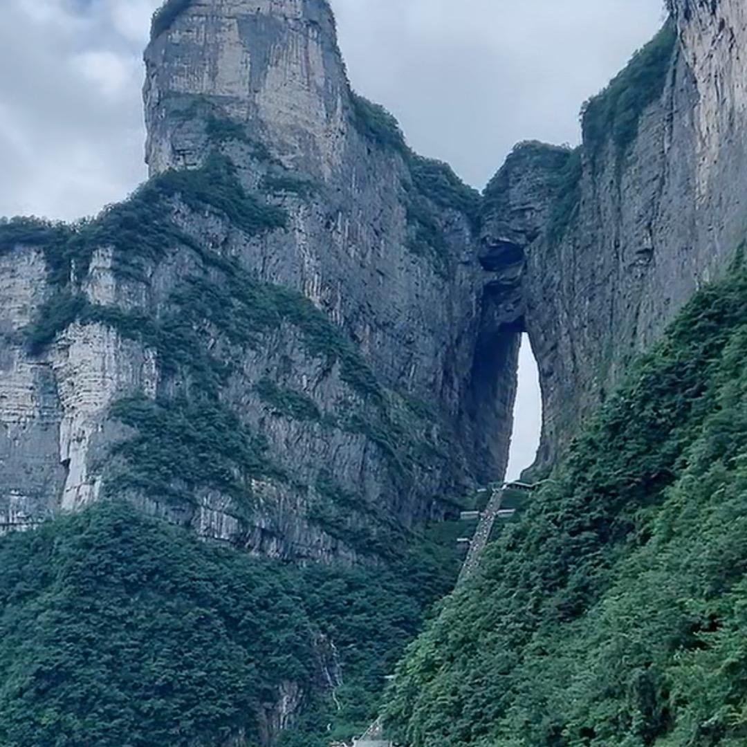 鸿莲