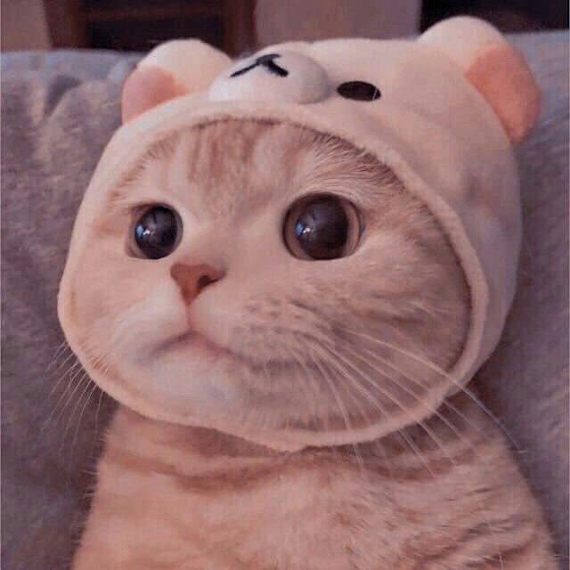 春夏好物严选