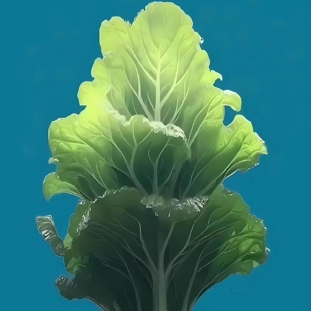 龙马🐴精神王爷