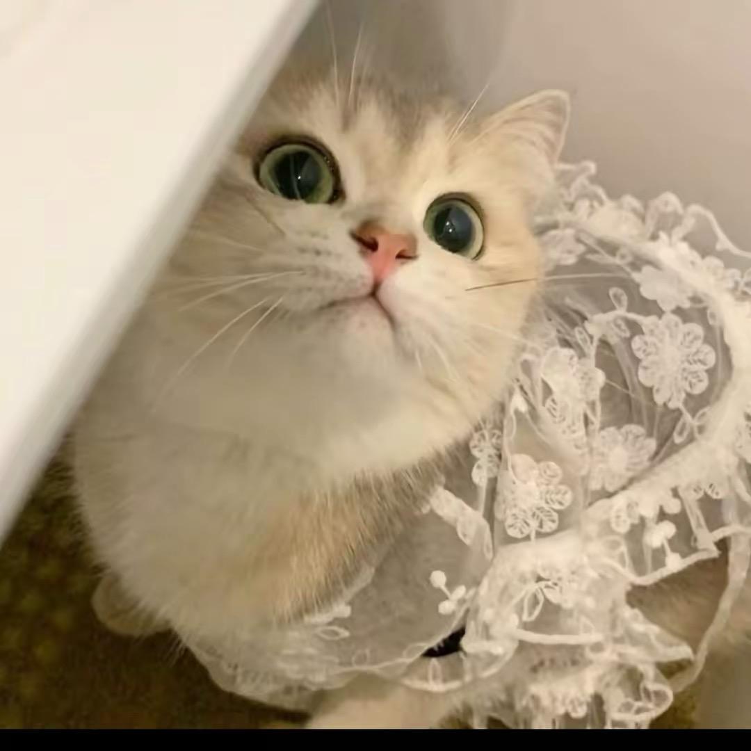 ？