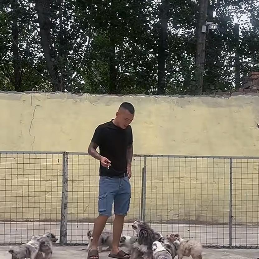 临沂沐隆宠物精品店